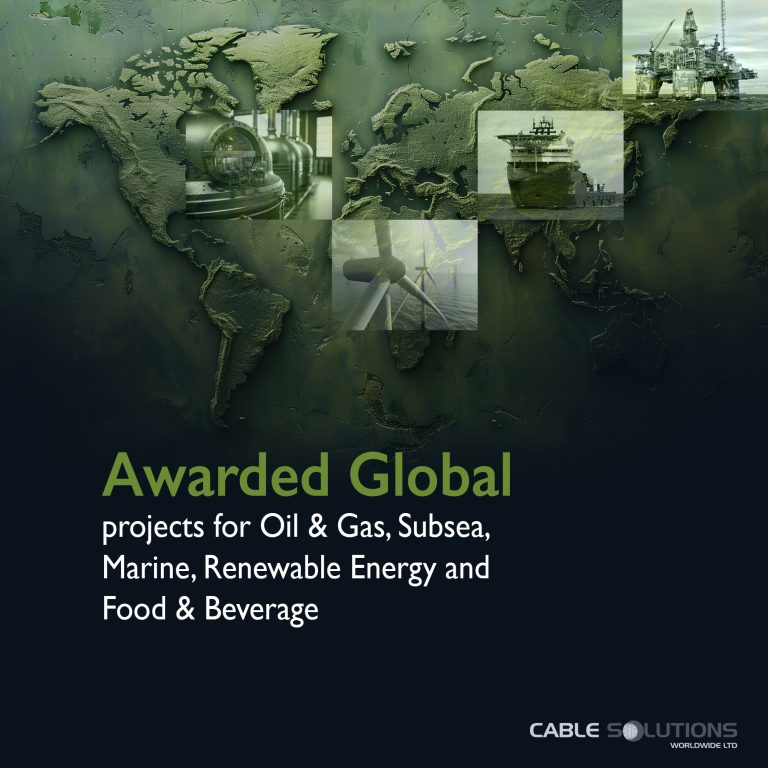 Awarded global projects